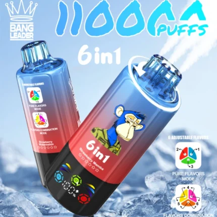 Țigară electronică de unică folosință Bang Leader 110.000 Puffs 6 în 1 cu încărcare USB-C și reglare a aromei