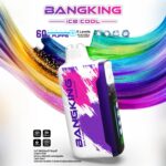 Bang King Ice Cool 60K – 60 000 Zaciągnięć Lodu | VapoMistrz - imagine 8