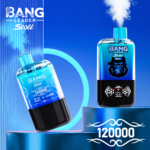 Bang Leader Stoll 120K Jednorazowy Vape – Dwa Smaki - imagine 3