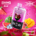 Bang Leader Stoll 120K Jednorazowy Vape – Dwa Smaki - imagine 5