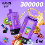 Bang Leader 300K Puffs Disposable Vape 6 in 1 - imagine 4