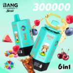 Bang Leader 300K Puffs Disposable Vape 6 in 1 - imagine 3