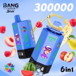 Bang Leader 300K Puffs Disposable Vape 6 in 1 - imagine 12